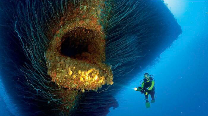 Diver exploring a massive shipwreck underwater, surrounded by deep waters triggering thalassophobia fears.