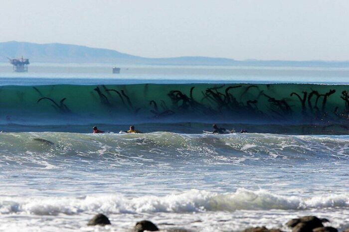 Surfers near a large wave with dark underwater seaweed, illustrating the fear of deep waters and thalassophobia trigger.