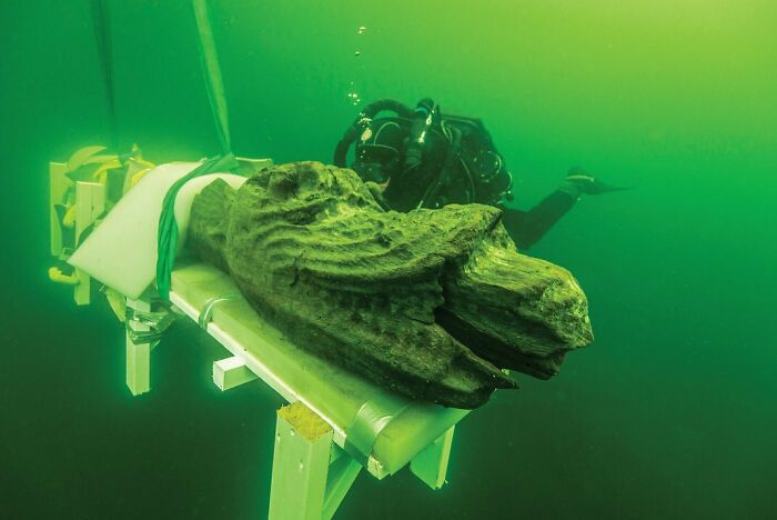 Scuba diver exploring a mysterious large wooden artifact underwater, evoking fear of deep waters and thalassophobia.