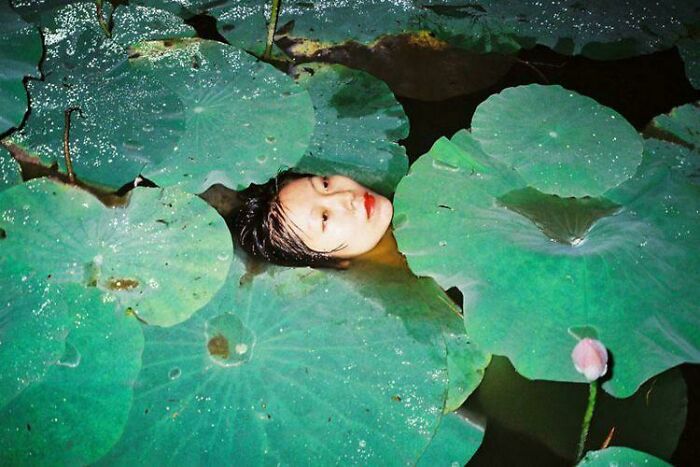 Person partially submerged in water surrounded by large green leaves, evoking thalassophobia and fear of deep waters.