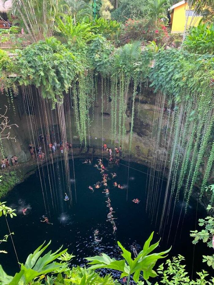 A deep natural sinkhole with dark water surrounded by hanging vines and people swimming, illustrating thalassophobia.