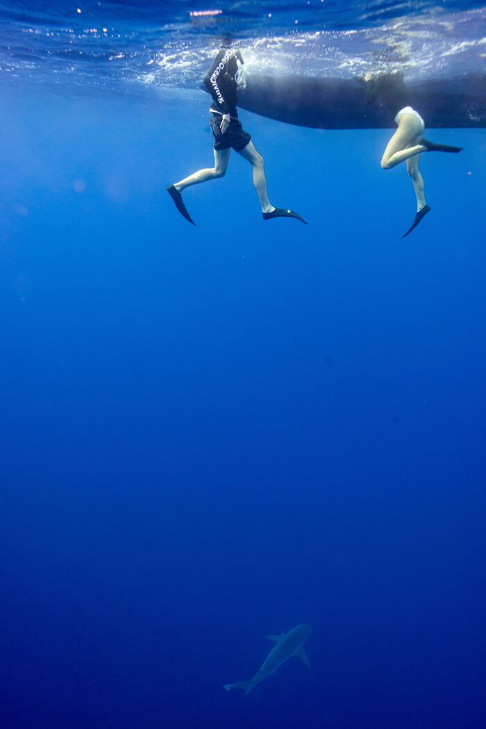Two snorkelers floating on deep blue water with a shark visible far below, triggering fear of deep waters.