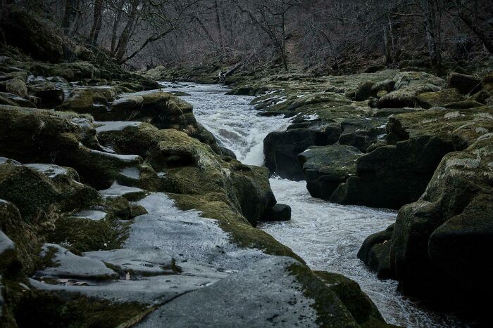 Dark rocky river with cold flowing water surrounded by barren trees, evoking deep waters and thalassophobia feelings.
