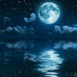 moonwolfdancer avatar