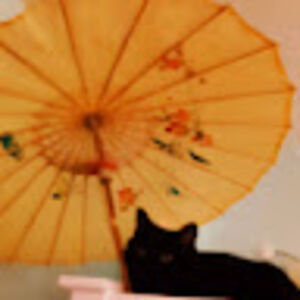 sushicat_2 avatar