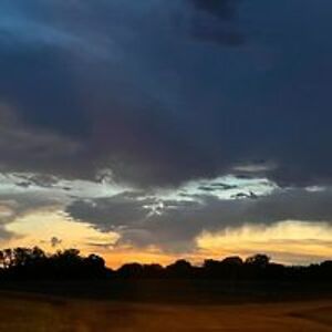 monica_dammann avatar