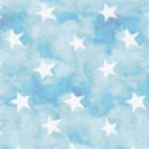 randyradabaugh avatar