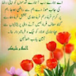 bismillahchannelpakistan avatar