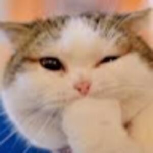 tatianatessier avatar