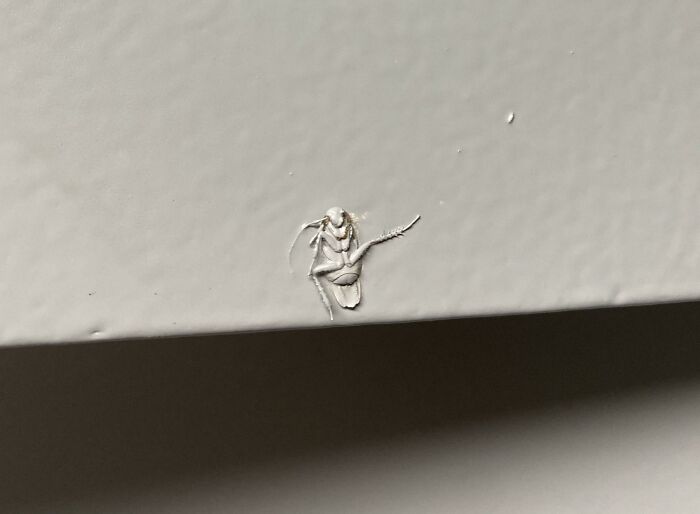 Landlords, Please Don’t Paint Over Cockroaches