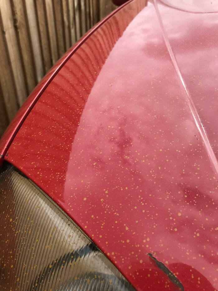 New Neighbors Painted Their Fence Yesterday, Now Our Car Looks Like This. All Over