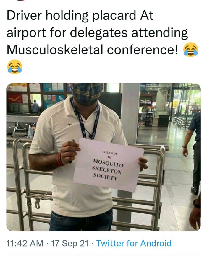 Mosquito Skeleton Society