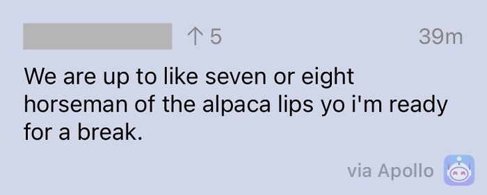 Alpaca Lips