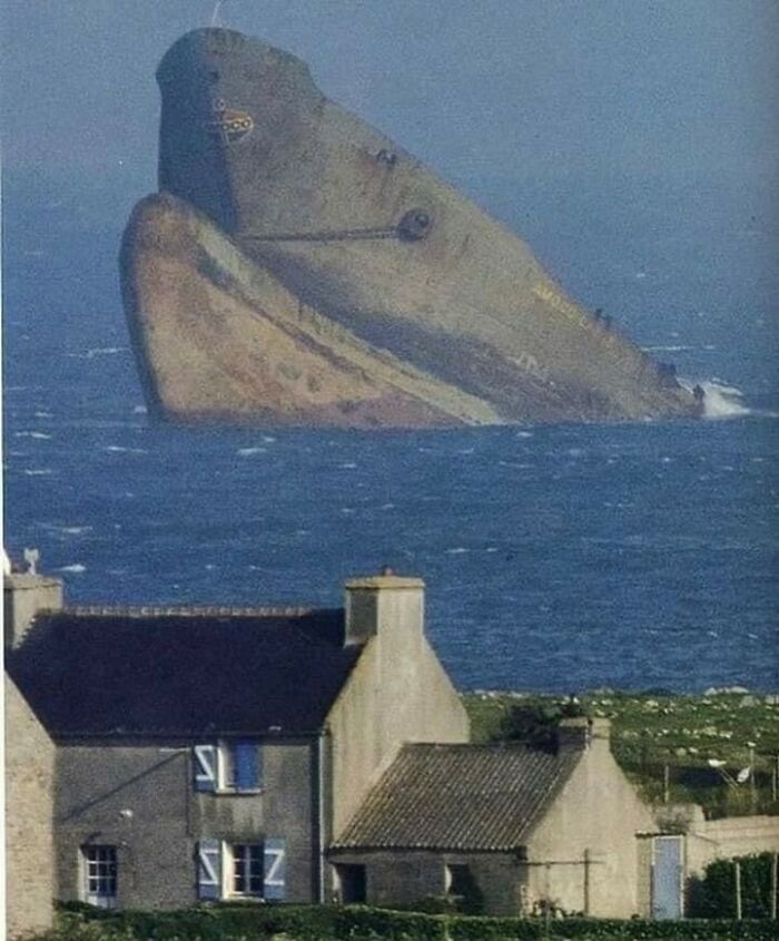 Partially submerged large ship resembling a giant sea creature in deep waters near coastal houses, triggering thalassophobia.
