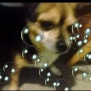 magdalena_l_k avatar