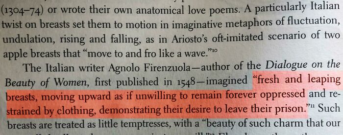 Why Must Men Describe Boobs Like This???? This Has Been Going On Too Long