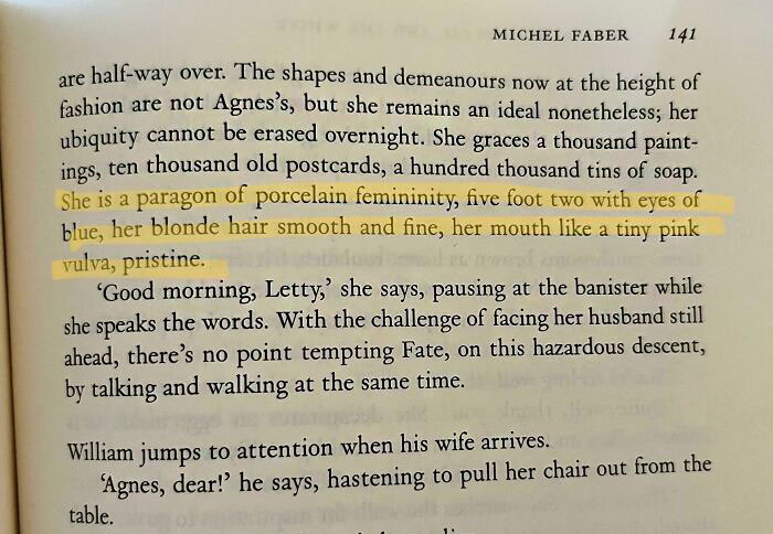 Is This Really The Best Description He Could Come Up With? (The Crimson Petal And The White By Michael Farber)