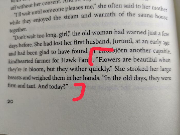 Erik The Red By Tillman Roehrig - A Historical Fiction Ya Novel