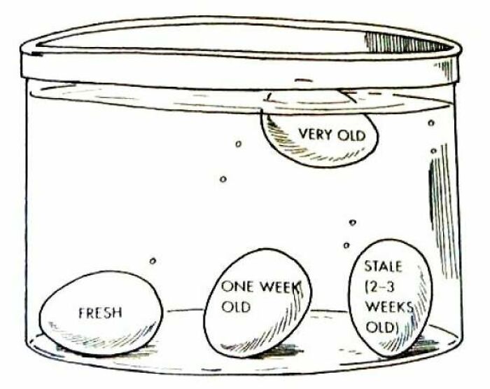 How Old Are Your Eggs