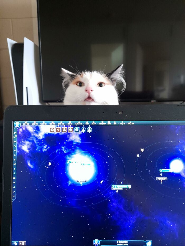 What I Put Up With When Gaming....