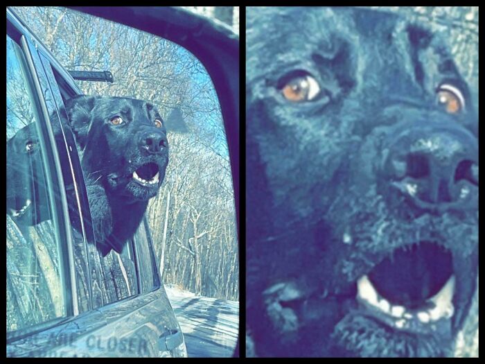 Derps In Mirror Are Closer Than They Appear