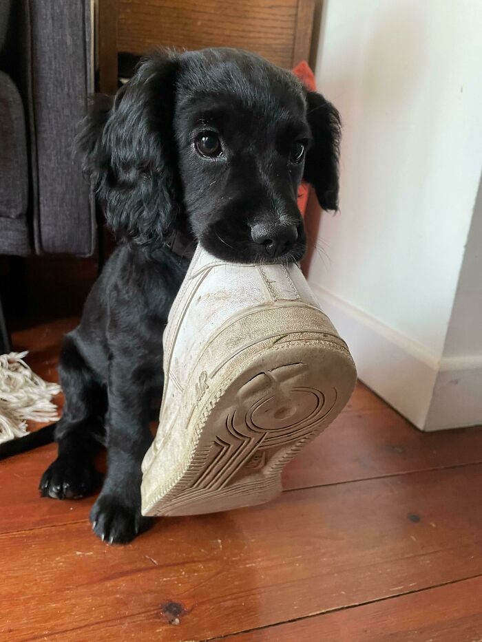 You Would Be At The Park A Lot Sooner If I Could Have That Back…