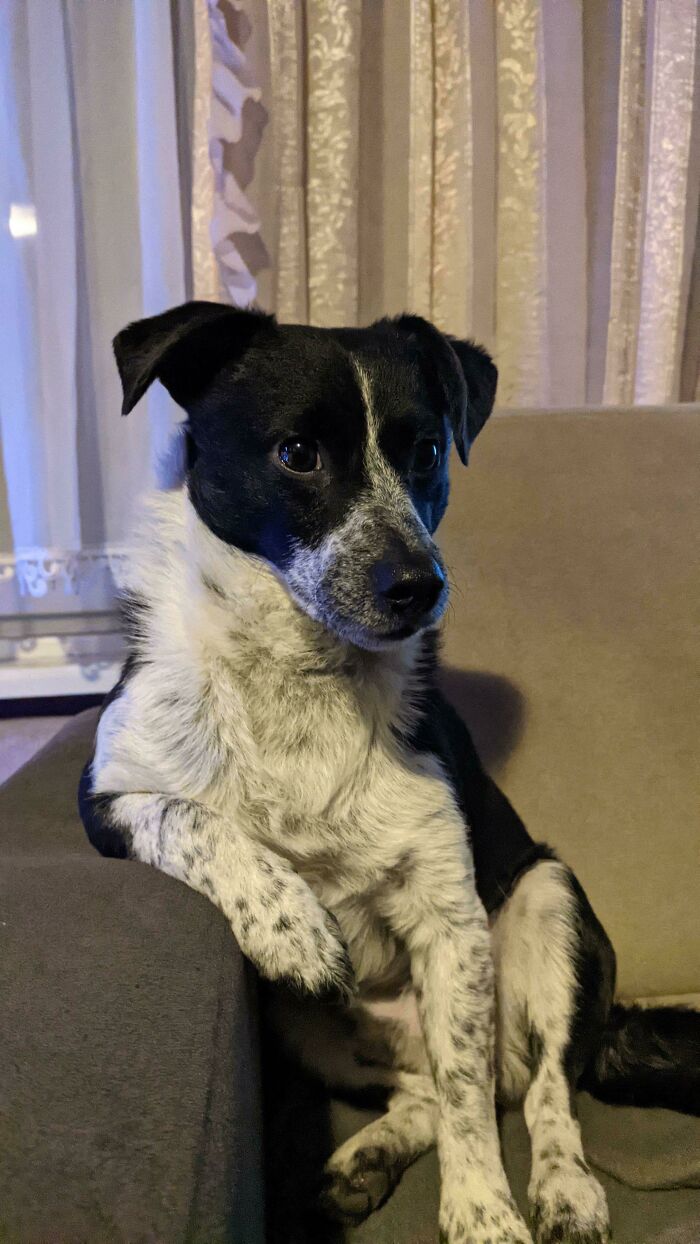 For Some Reason He Loves Sitting Like This