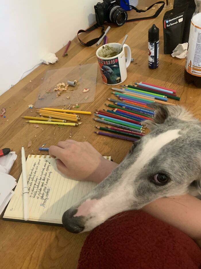 She Won’t Let Me Study