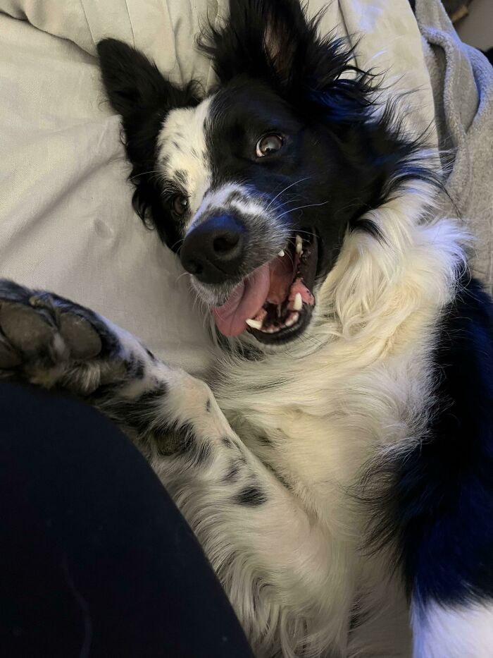 I Don’t Know Why Ralphie Made This Face But I’m Glad He Did