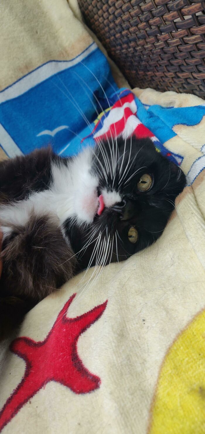 My 16 Year Old Derp So Wise And Mature