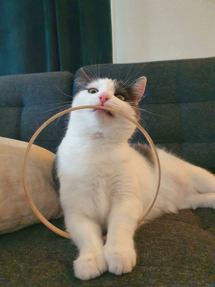 Just A Silly Man For You!