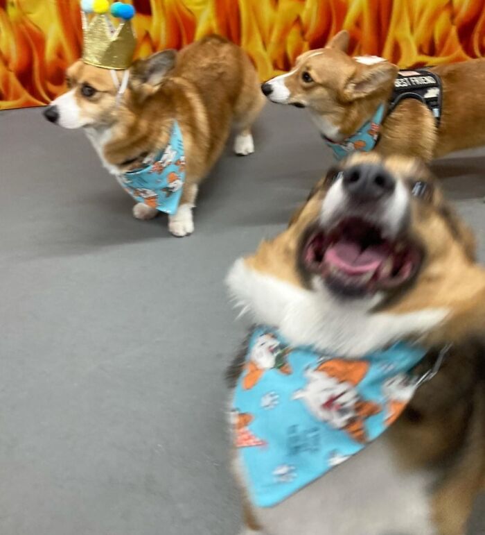 Was Encouraged To Share This Blessed Image Here