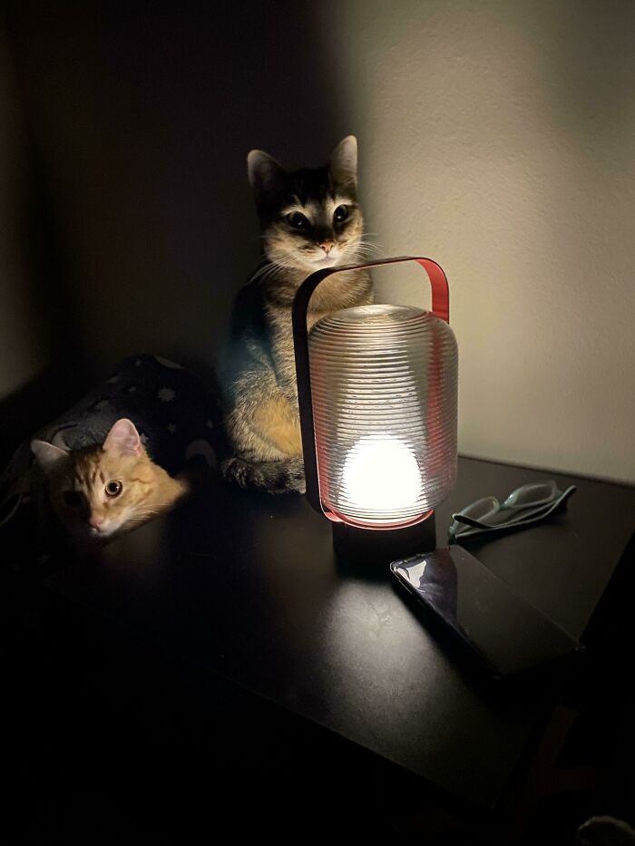 We Woke Up From A Nap To This Ominous Visage