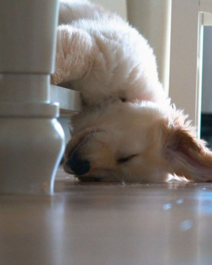 After A Long Day Of Playing