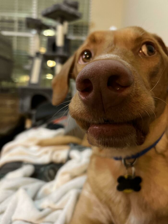 My Boy Likes To Put His Lips Up Like 