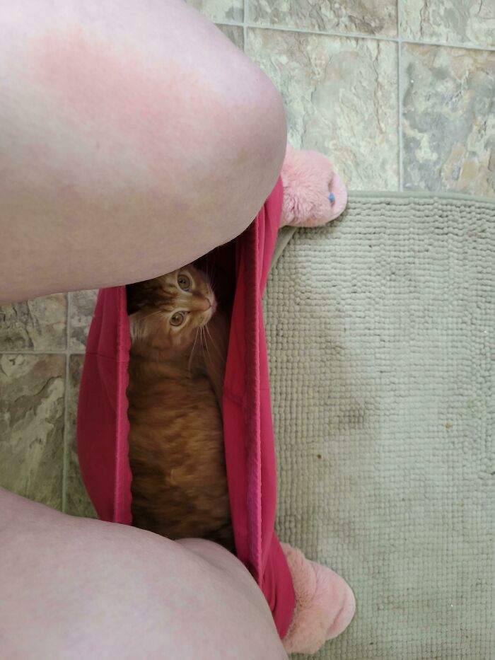 He's Literally Never Done This Before, And Then The Second I Sit Down..?