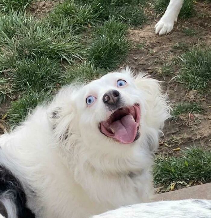 I’ve Posted This In A Few Subreddits But Thought It Better Fit Here