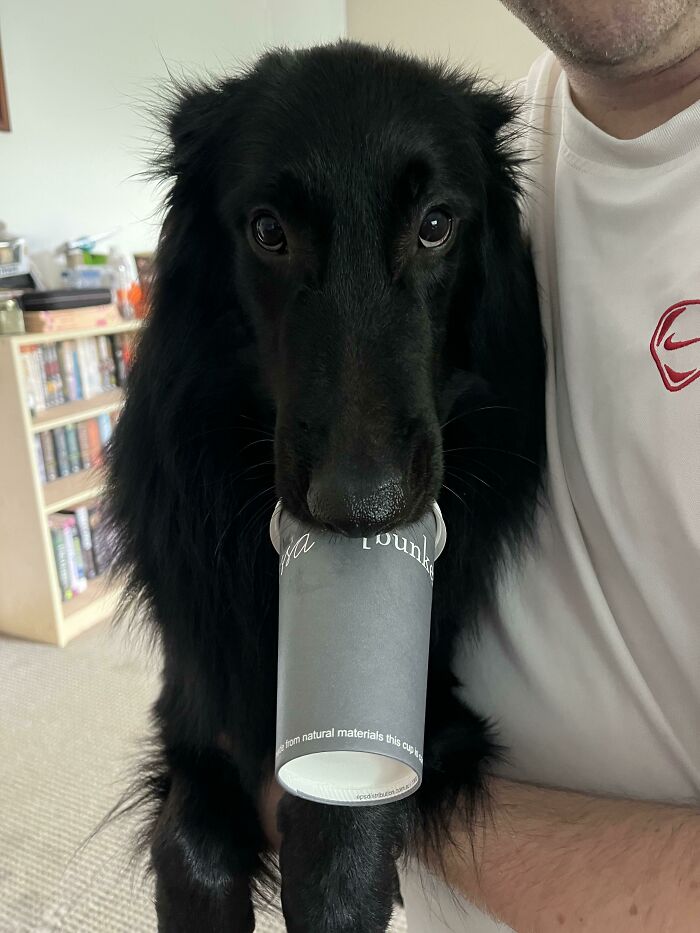Excuse Me Sir, That’s Not Your Puppacino