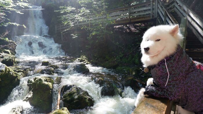 You Seeing This Sh*t?