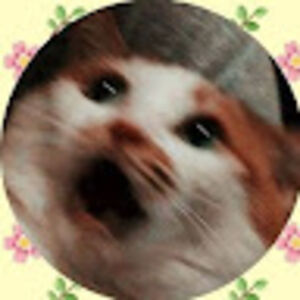 pascalarevalo avatar