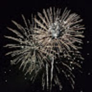 williamdavis_2 avatar