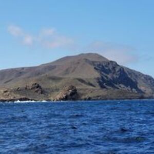 diane_grancich avatar