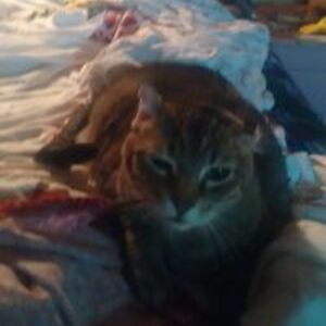 frannie_banana avatar