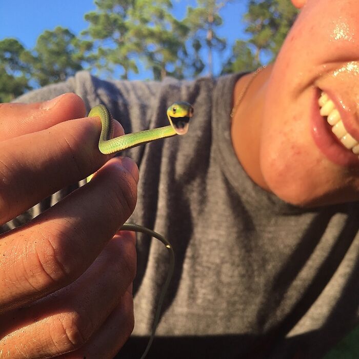 A person holding a small, cute green snake outdoors on a sunny day.