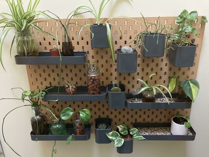 Skådis Propagation Station