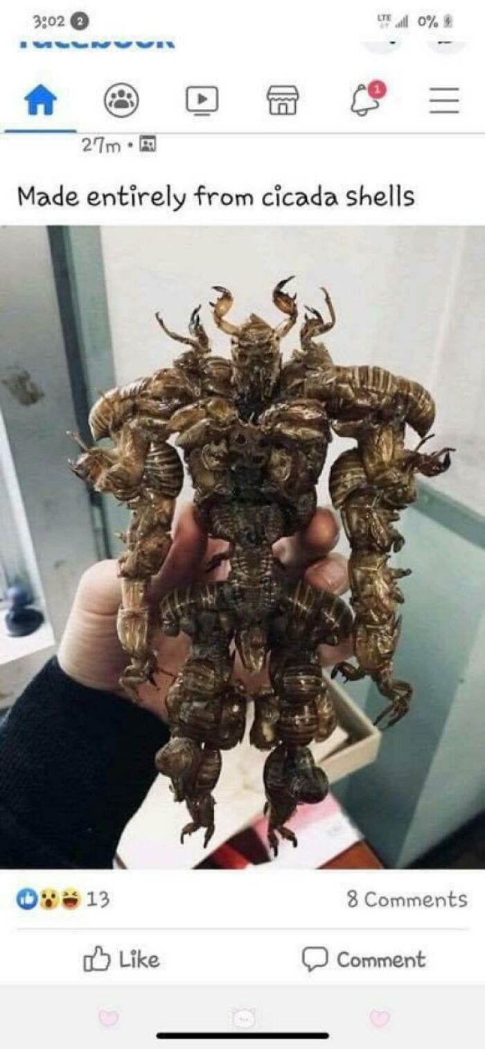 Made From Cicada Shells - Saw This Screenshot In A Facebook Group