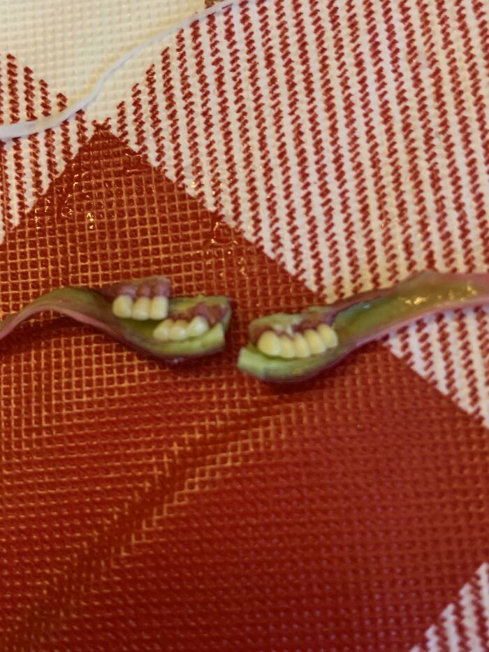 The Seeds Of A Paeonia Latifolia Flower