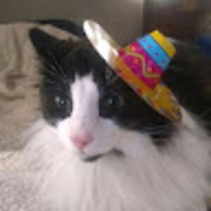 cynthiatucker avatar