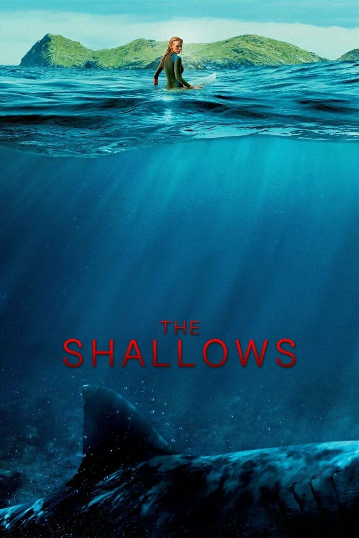  The Shallows