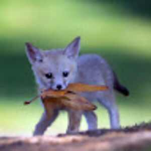 savannahweber avatar